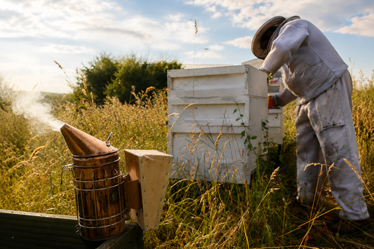 Adrian the beekeeper inspecting a honey bee hive in late summer at a Home Farm MK apiary